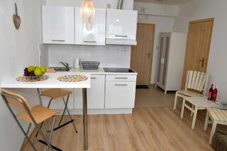 Апартаменты Apartamenty Sun & Snow Karpacz Sucha Карпач Апартаменты-студио-4